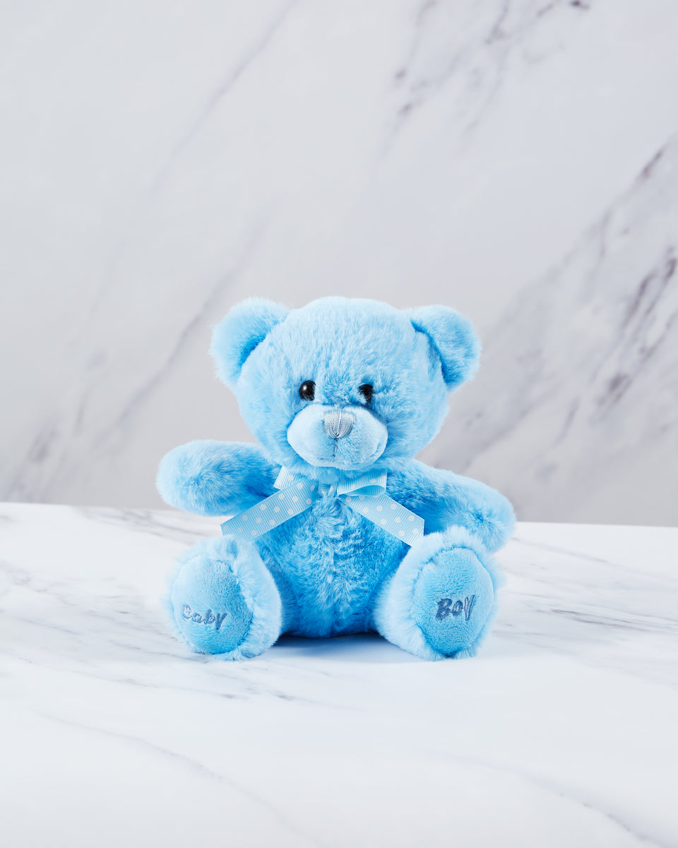 Baby boy blue teddy bear best sale