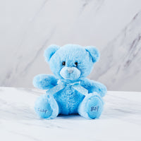 Blue baby boy teddy bear