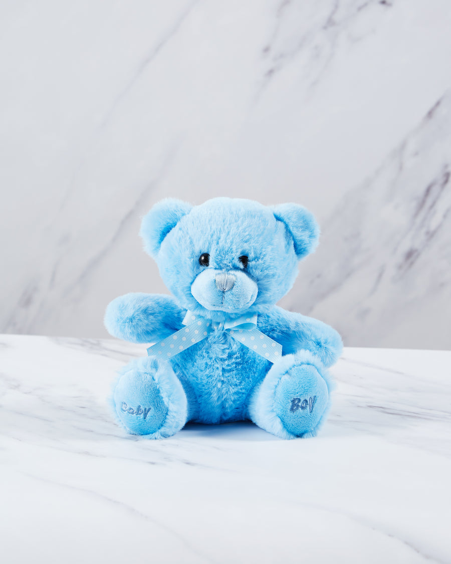Blue baby boy teddy bear