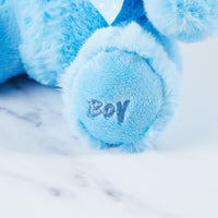 Boy embroidered on the paw of the blue baby teddy bear.