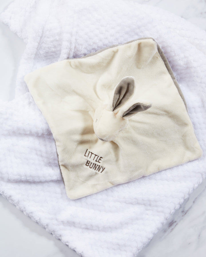 Soft baby blanket with little bunny toy. 