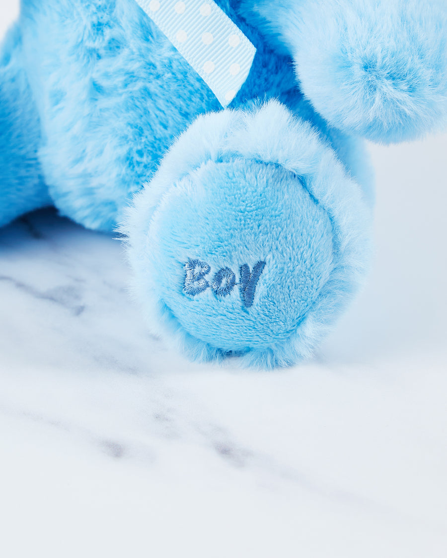 Boy embroidered on the paw of the blue baby teddy bear. 