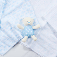 Baby Boy Muslin & Rattle Set